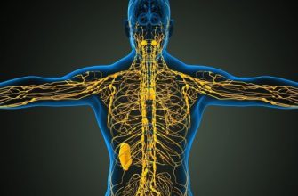 Лимфостимуляция по Костерову: оздоравливает тело и укрепляет иммунитет