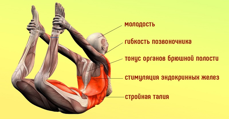 Женщинам 40+ обязательно! «Поза лука» и еще 5 упражнений, которые быстро вернут былую форму. Женщинам 40+ обязательно! «Поза лука» и еще 5 упражнений, которые быстро вернут былую форму.