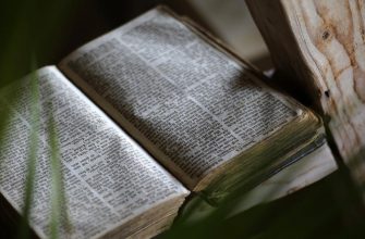 9 правил жизни, обнаруженных на древнем санскритском манускрипте