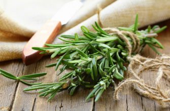 «Эта сильная трава улучшает кровообращение головного мозга, предотвращает рак, незаменима при астме, подагре…»