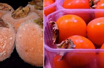 Соседка замораживает хурму каждый сезон.