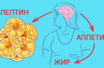 Как управлять голодом: 8 уверенных шагов к вечной стройности.