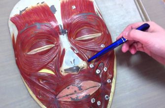 Всего 15 минут утром и вечером, и твое лицо будет выглядеть лучше, чем в 25 лет!