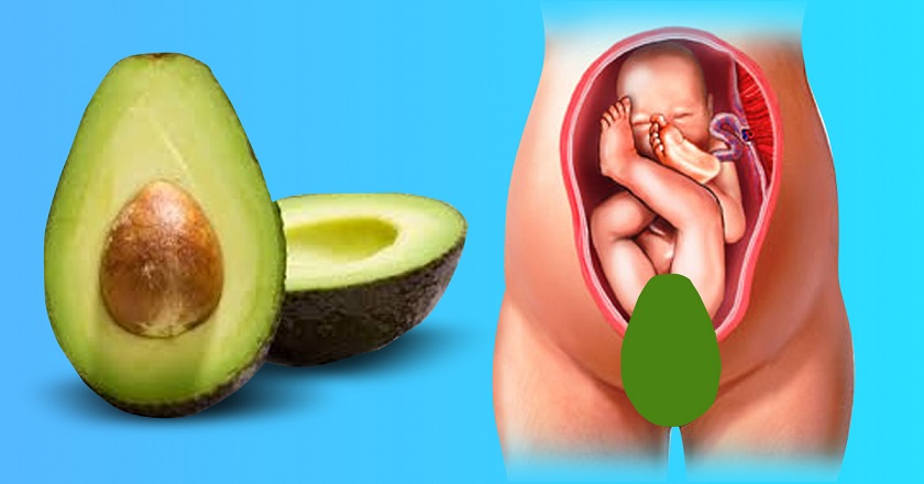 Если женщина съедает по одному авокадо в неделю, ее тело начинает трансформацию.
