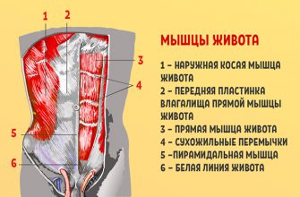 «Стабилизация поясничного отдела позвоночника — вот что вам крайне необходимо!