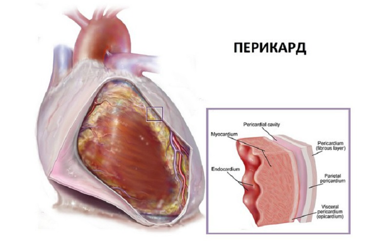 Наш коллега уехал в Китай: больше не устает! Китайский способ лечения любых болезней. Наш коллега уехал в Китай: больше не устает! Китайский способ лечения любых болезней.
