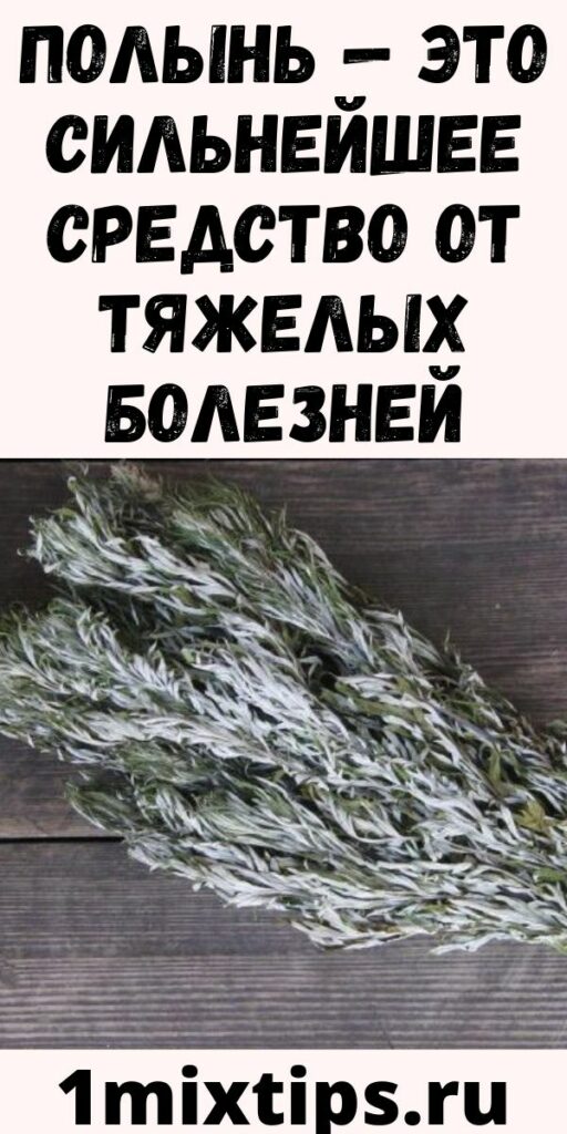 ПОЛЫНЬ — ЭТО СИЛЬНЕЙШЕЕ СРЕДСТВО ОТ ТЯЖЕЛЫХ БОЛЕЗНЕЙ