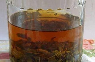 МОНГОЛЬСКИЙ РЕЦЕПТ ЛЕЧЕНИЯ АНГИНЫ