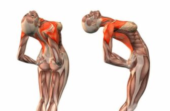 Упражнения которые улучшают кровоснабжение мозга, выпрямляют позвоночник, освободят сосуды от зажимов