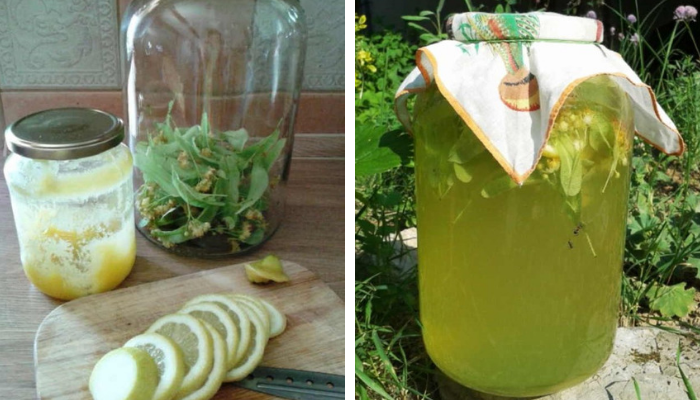 Ароматный липовый лимонад — вкусный и очень-очень полезный. В жару — лучше не придумаешь!