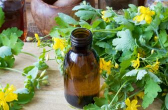 ЧИСТОТЕЛ ЛЕЧИТ ЭФФЕКТИВНЕЕ, ЧЕМ ЛЮБЫЕ АПТЕЧНЫЕ СРЕДСТВА