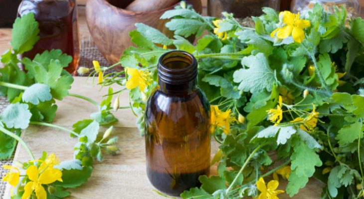 ЧИСТОТЕЛ ЛЕЧИТ ЭФФЕКТИВНЕЕ, ЧЕМ ЛЮБЫЕ АПТЕЧНЫЕ СРЕДСТВА