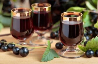 Домашнее вино из черной смородины куда лучше любых магазинных напитков!