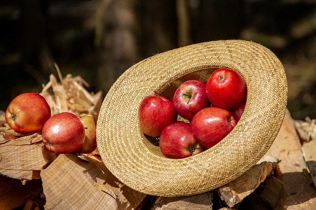 ТОП 6 продуктов, которые нужно есть осенью чтобы быть здоровыми целый год.