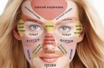 Как отражаются внутренние органы на лице