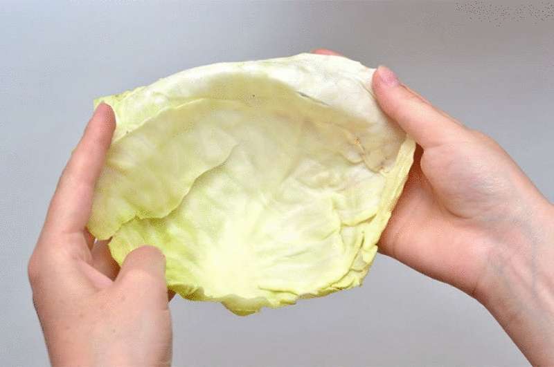 Как легко и быстро вылечить кашель с помощью капустного листа
