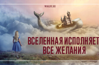 Вселенная исполняет все желания, ты только попроси