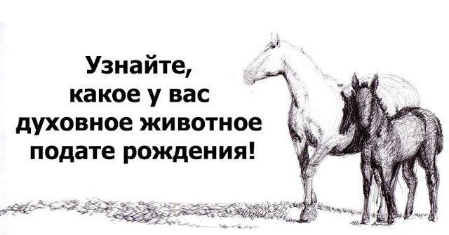 Узнайте, какое у вас духовное животное по дате рождения! Узнайте, какое у вас духовное животное по дате рождения!