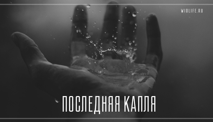 Последняя капля - 1MIXTIPS.RU