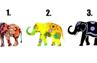 Какого слона вы бы нарисовали? Ответ покажет какой контракт с душой вы заключили