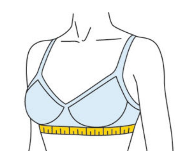 Инструкция, как правильно выбрать бюстгальтер и носить его без пытки