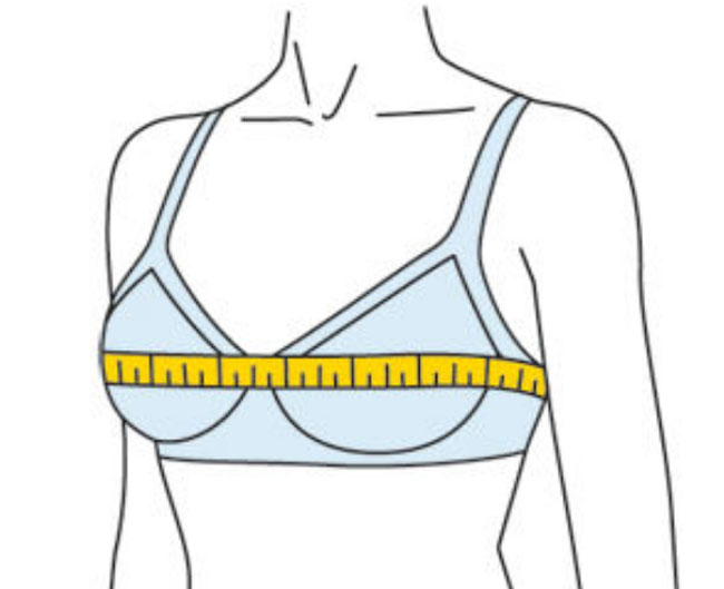 Инструкция, как правильно выбрать бюстгальтер и носить его без пытки Инструкция, как правильно выбрать бюстгальтер и носить его без пытки