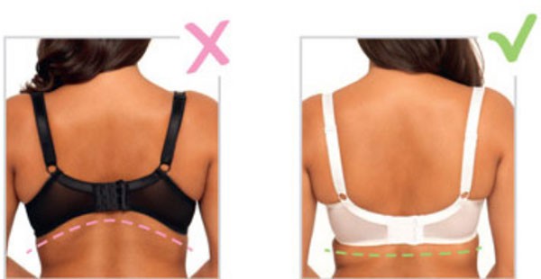 Инструкция, как правильно выбрать бюстгальтер и носить его без пытки Инструкция, как правильно выбрать бюстгальтер и носить его без пытки