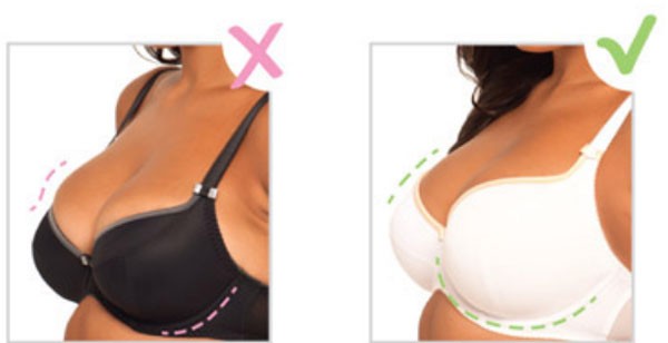 Инструкция, как правильно выбрать бюстгальтер и носить его без пытки Инструкция, как правильно выбрать бюстгальтер и носить его без пытки