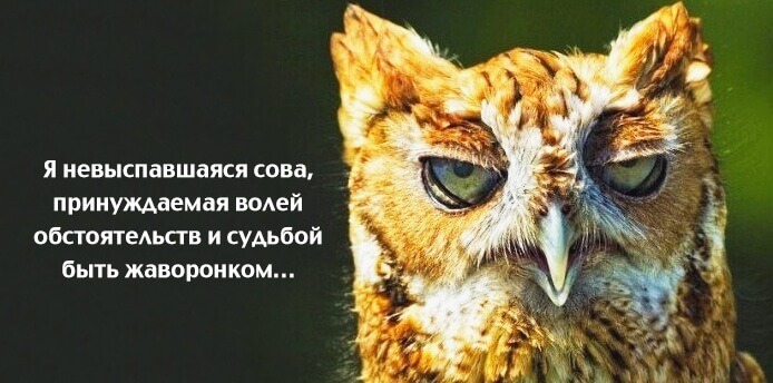 Весёлые картинки — Хорошее настроение – залог удачного дня.